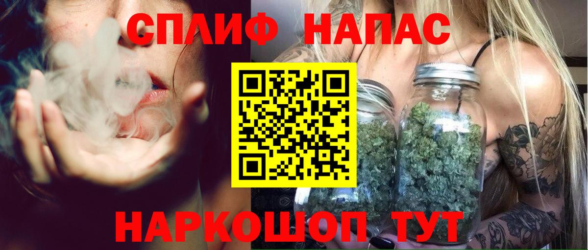 Конопля MAZAR Дубна